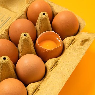 <strong>15/11/22</strong> <br /> Na matéria, o Estadão ensina formas de preparar ovos e para isso, compartilha as
      receitas do nosso exemplar “Além do Ovo Frito”. Vem ler!