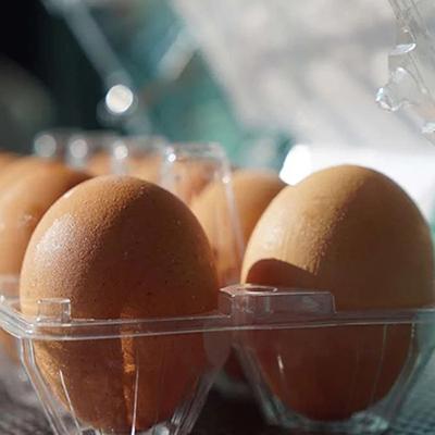<strong>25/04/22</strong> <br /> No MoneyTimes, a matéria esclarece sobre a diferença dos tipos de produção e
      consumo de ovos e quais são os processos em escala que temos na Fazenda Raiar Orgânicos.
      Vem saber mais!