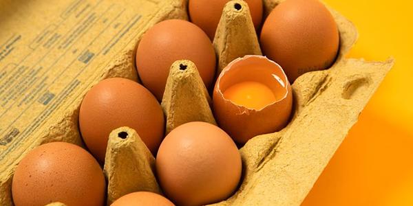 <strong>15/11/22</strong> <br /> Na matéria, o Estadão ensina formas de preparar ovos e para isso, compartilha as
      receitas do nosso exemplar “Além do Ovo Frito”. Vem ler!