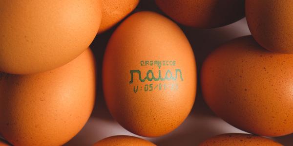 <strong>25/04/23</strong> <br /> A matéria do CI Orgânicos conta sobre a parceria entre Raiar Orgânicos e o Mercado Diferente para a venda de ovos pequenos e com um preço mais acessível! Vem entender!