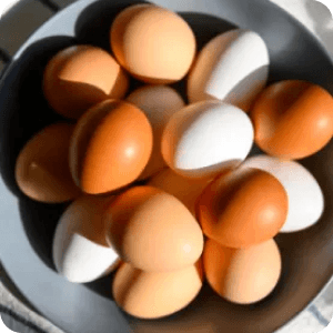 Com um maquinário inédito na América do Sul e o que há de mais avançado no mundo, garantimos a máxima qualidade de todos os ovos que produzimos (sim, somos do tipo que acha pelo em ovo).